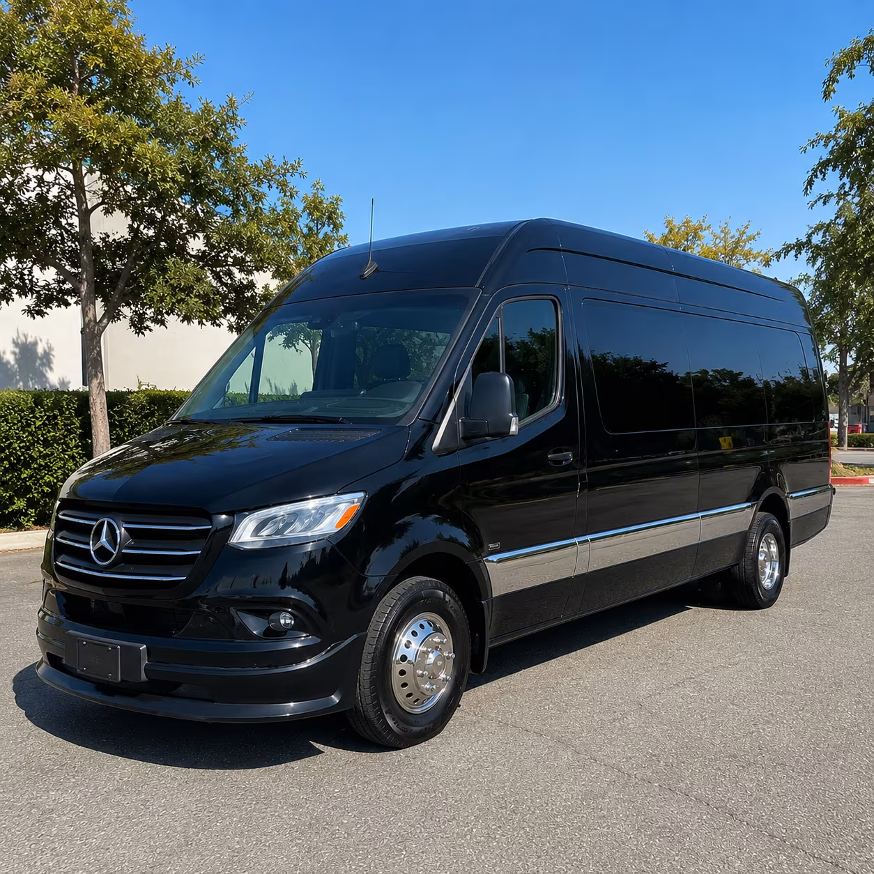 honolulu birthday sprinter van rental