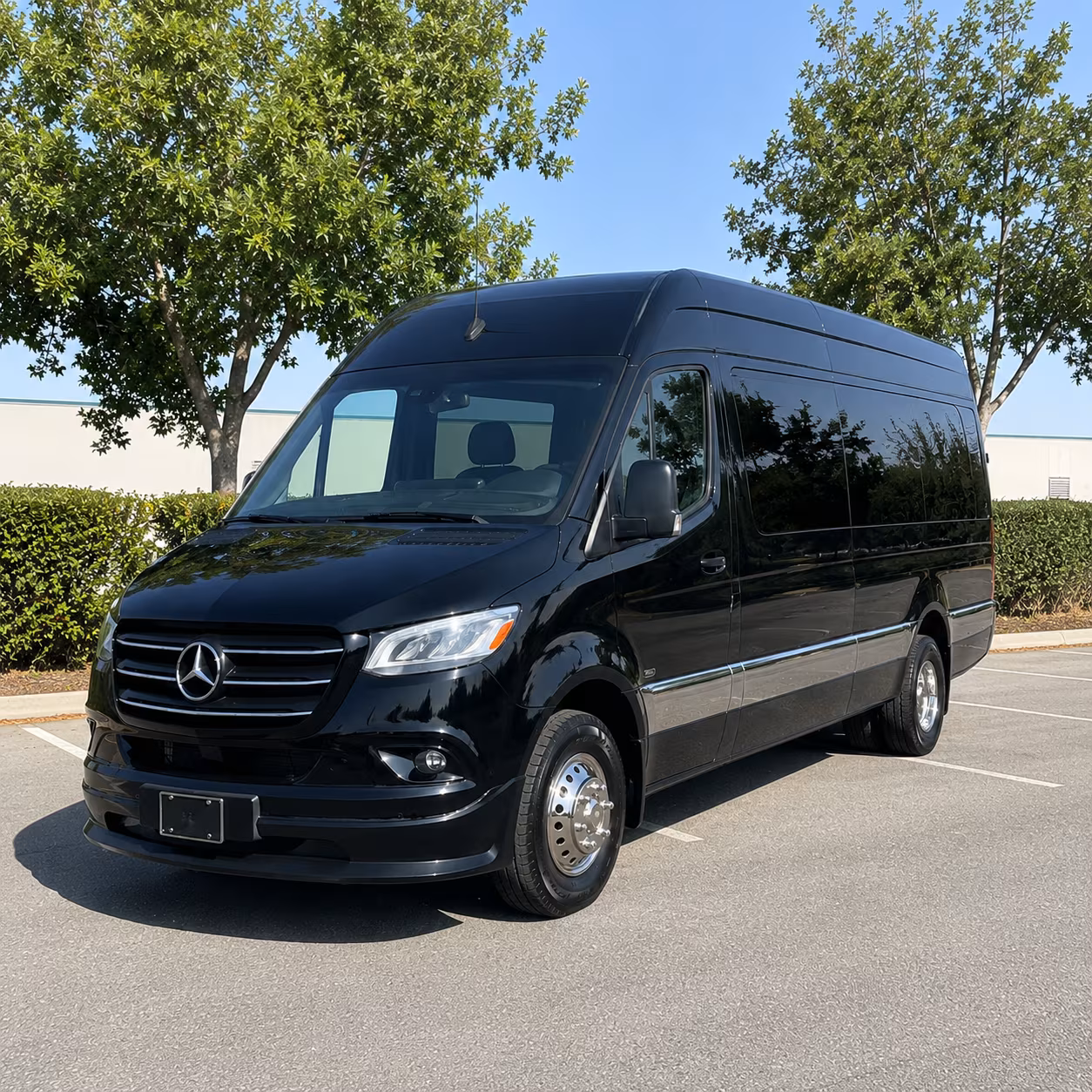 honolulu wedding sprinter van rental